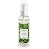 Weißer Tee & Ingwer - pajoma Raumspray 1er Pack (1 x 100 ml), Modern Line