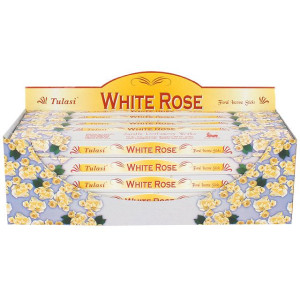 Weiße Rose (White Rose), Tulasi Blumig...