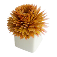 Blooming Cube Diffuser B1 Frangipani, Breathe veganer Raumduft