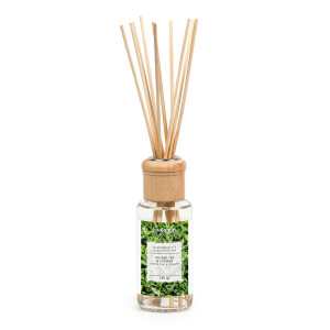 Raumduft Weißer Tee & Ingwer, 100 ml Modern Line von pajoma