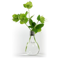 GREENbulb -eine Vase in Glühlampenform