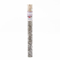 Salbei weiß, Bijos Weihrauch in 35 ml Glasröhre