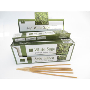 White Sage BAC Premium Masala R&auml;ucherst&auml;bchen 15g