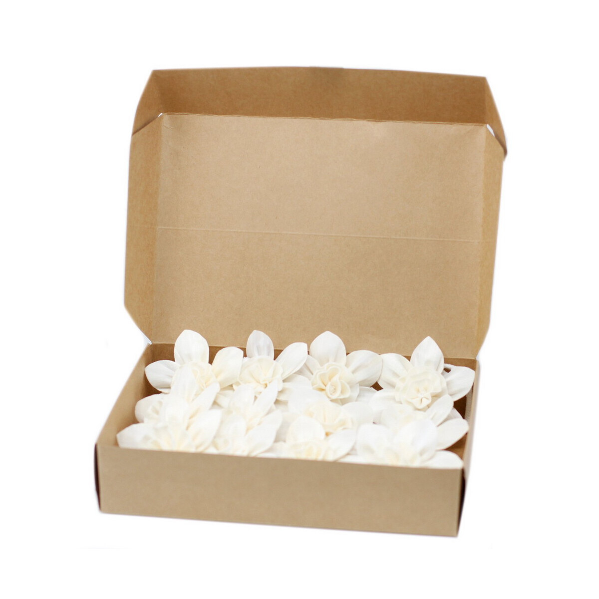 Natürliche Diffuserblume - Gro&szli box