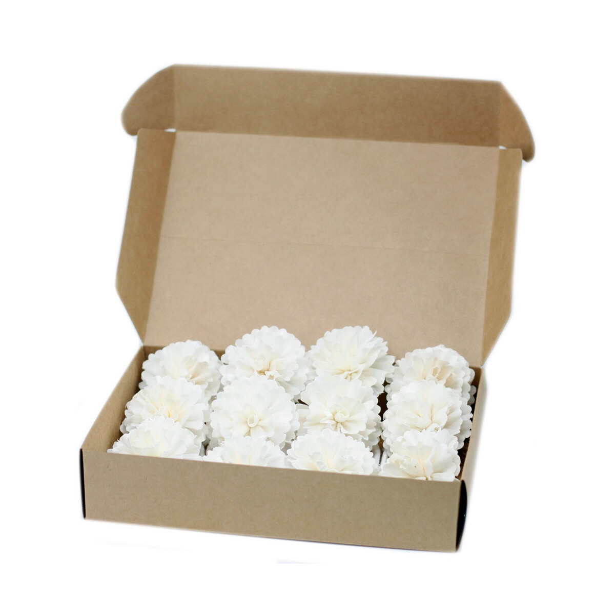 Natürliche Diffuserblume - Gro&szli box