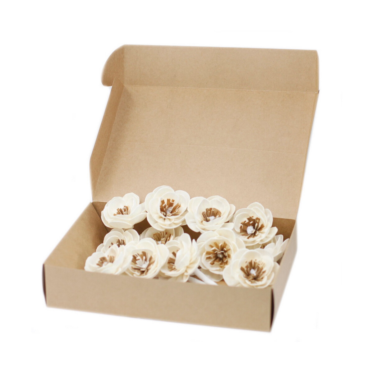 Natürliche Diffuserblume - Kleine M box