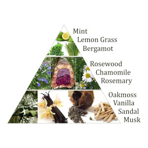 Aromafume Chakra-Weihrauchblöcke 3. Chakra, Manipura - Solarplexuschakra