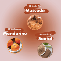 Bubble Shell - 25 natürliche Räucherstäbchen aus Frankreich - Muskatnuss, Mandarine, Sandelholz