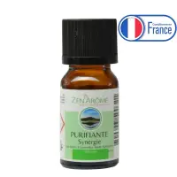 Synergie ätherischer Öle - Reinigend (Purifiante) - 10 ml - Verwendung zur Diffusion - Verpackt in Frankreich